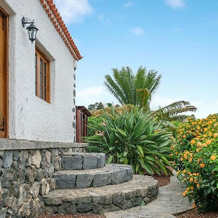 Finca La Sorriba La Guancha 外观 照片